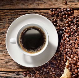 What is the difference between arabica and robusta coffee?
